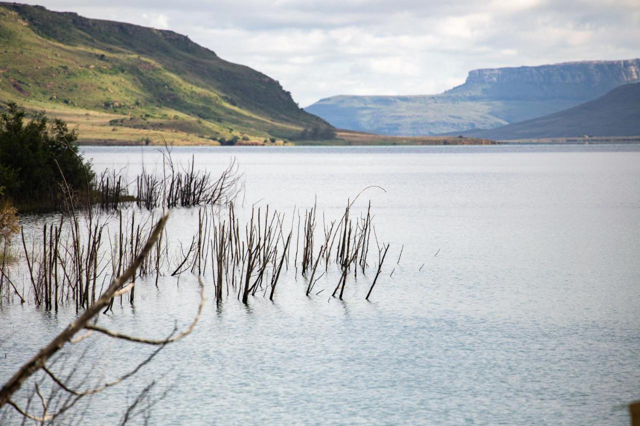 Wild Horses Lodge Harrismith Dış mekan fotoğraf