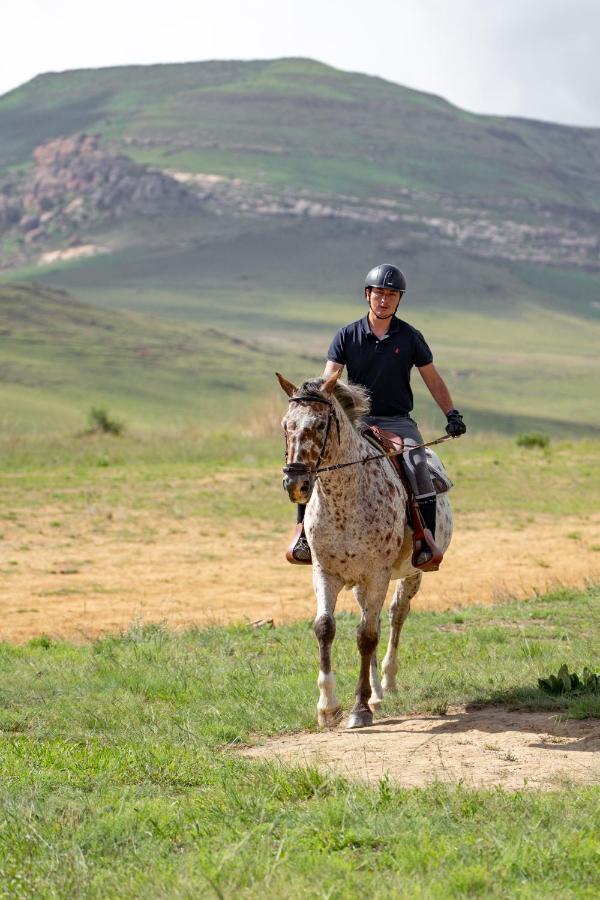 Wild Horses Lodge Harrismith Dış mekan fotoğraf