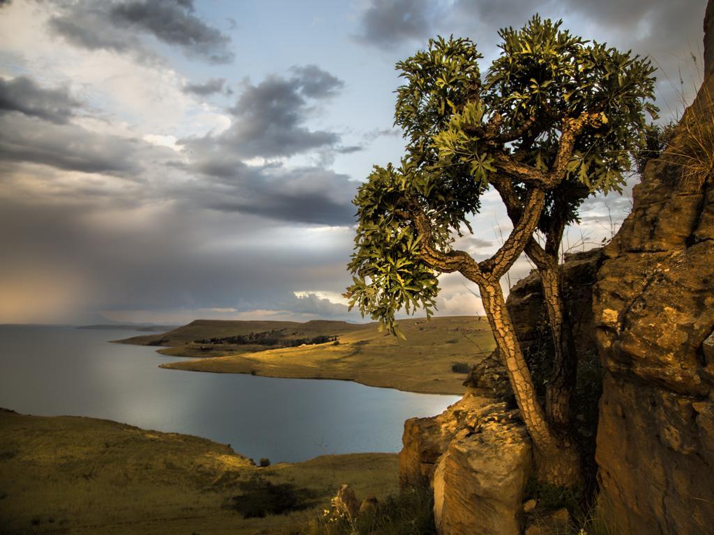 Wild Horses Lodge Harrismith Dış mekan fotoğraf