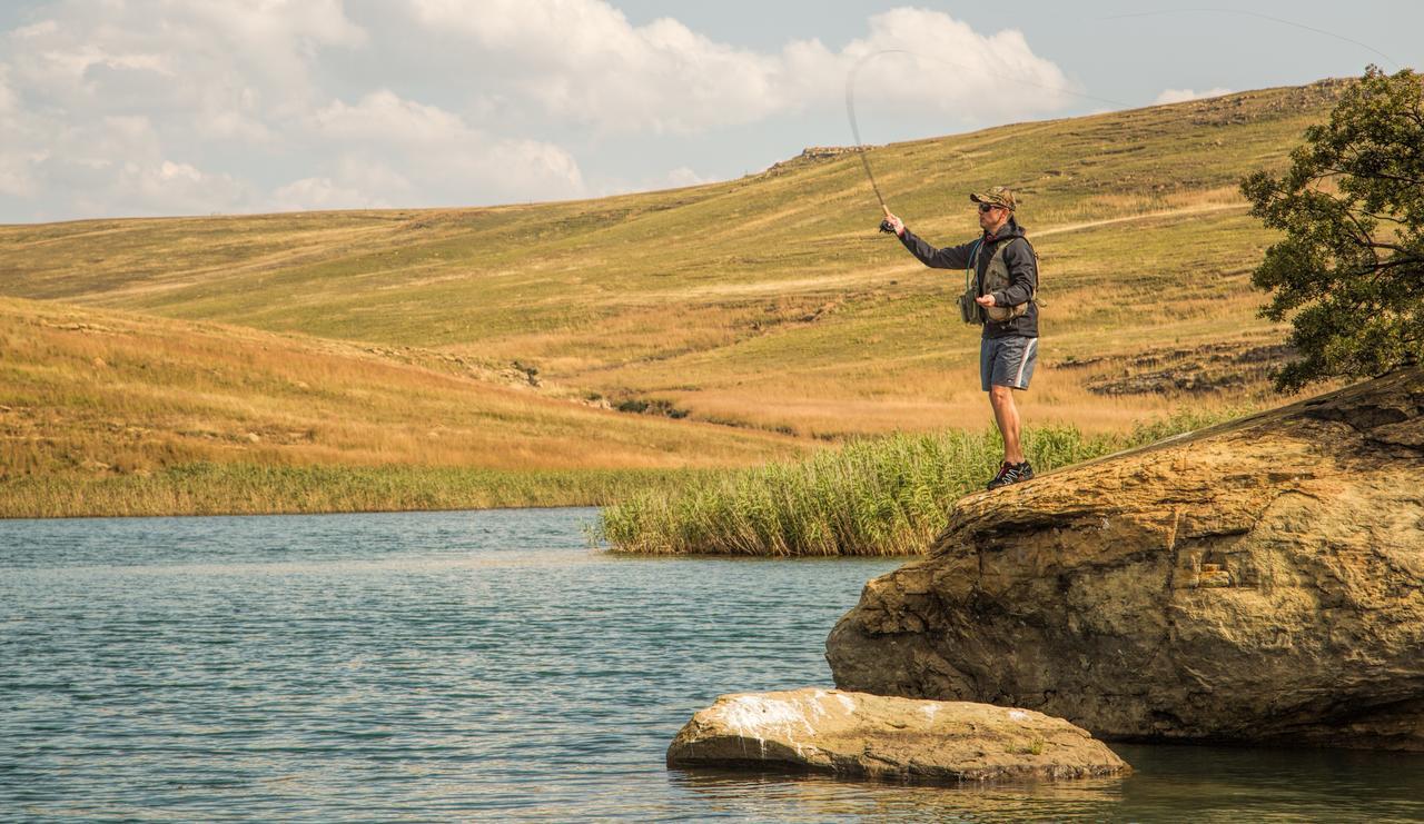 Wild Horses Lodge Harrismith Dış mekan fotoğraf