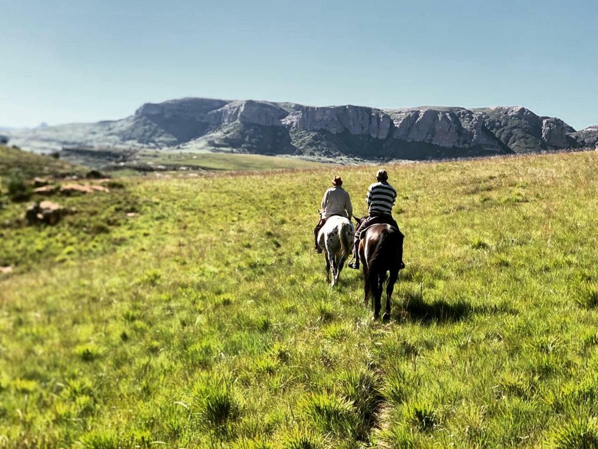 Wild Horses Lodge Harrismith Dış mekan fotoğraf